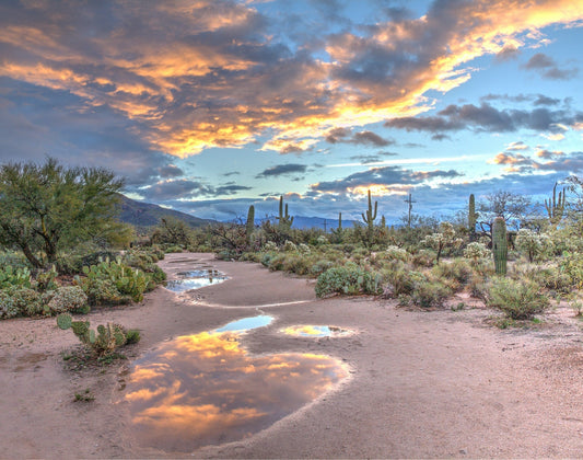 Arizona Trail Map, Your Guide to 50 Epic Hikes in the Grand Canyon State