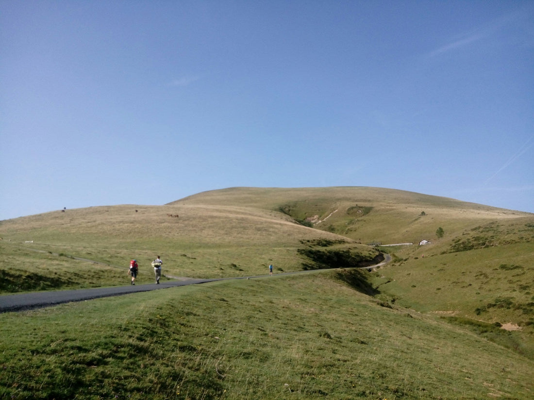 The Camino de Santiago Pilgrimage, Walking a Path of History, Faith, and Transformation