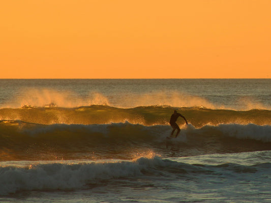 Seaside Reef Surfing, Why This Iconic San Diego Break Is a Go-To for Goofy Footers